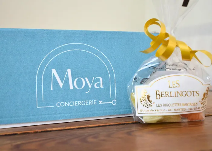 Apartamento Hyper Centre - Quartier Graslin