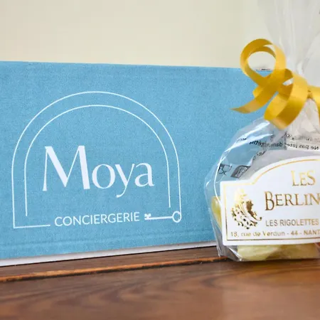 Appartamento Hyper Centre - Quartier Graslin